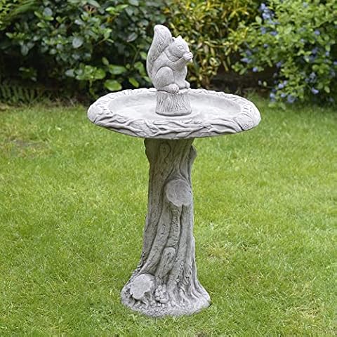 ONEFOLD Large Squirrel Bird Bath Ornament Cover
