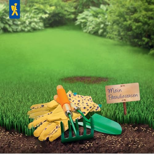 Foto von Kiepenkerl Profi-Line Complete Nachsaat-Rasensamen 662803-1 kg für 50m² - schnellkeimend - optimal für Sport und Spiel - Made in Germany - RSM zertifizierte Grassamen