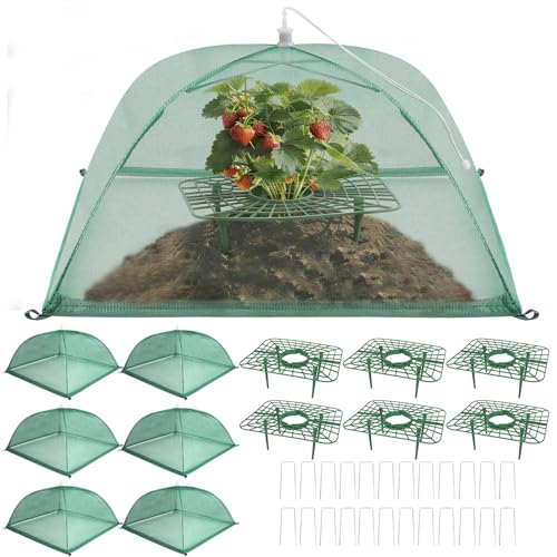 6 Sets Strawberry Plant Support with Mesh Plant Cover Strawberry Growing Rack Kit with 24 Iron Plant Nails for Garden Strawberry Growing Frame with Protective Net for Strawberries Tomatoes Veggies