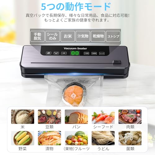 REENEW 真空パック機 乾湿両用 90Kpa