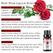 Rose Essential Oil 100% Pure Aromatherapy Oil Best Grade Rose Oil for Diffuser, Perfumes, Massage, Skin Care - 10ml