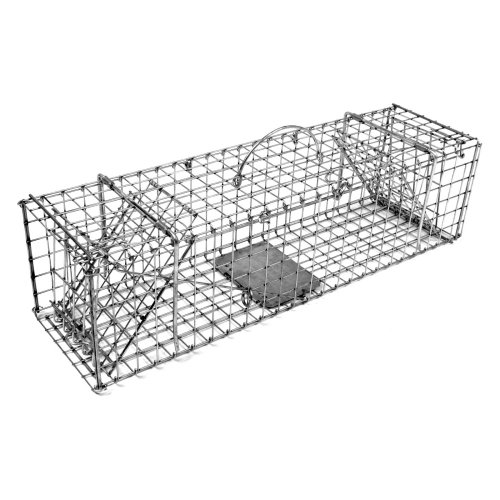 Top 15 Best muskrat trap Reviews 2023 Maine Innkeepers Association