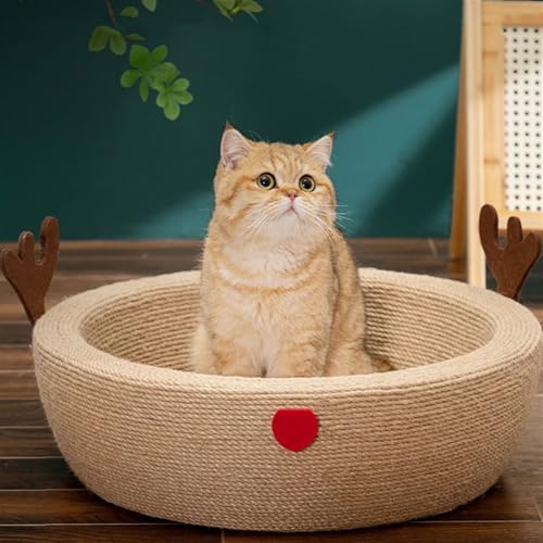 Griffoir pour chat résistant pour protéger vos meubles des griffes
