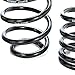 BBK 2501 Lowering Springs Kit - Performance Progressive Rate Kit for Ford Mustang V8