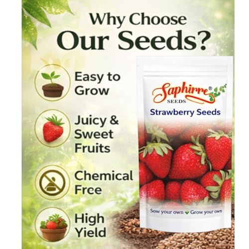 Image of Saphirre Seeds Strawberry Seeds | 100+ Seeds | High Germination | Easy to Grow Fruit Seeds for Home Gardening | Ideal for Pots, Balcony, Terrace & Grow Bags