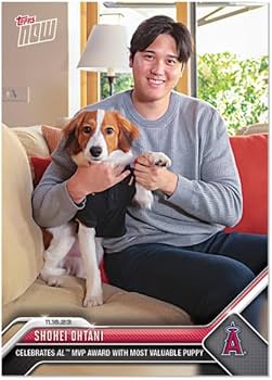 Amazon | 大谷翔平 #OS19 MVP(Most Valuable Puppy)の子犬とMVP受賞を