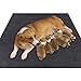 Sszhen Whelping Box Liner Mat,Washable and Reusable Puppy Pad,Premium Absorbent Urine pet Mat,Under The Dog Crate Mat,Protect Your Floor, Furniture or Any Other Area from Liquid Leakage (36