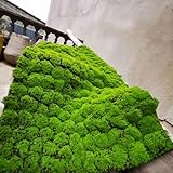 DHDHSHB Artificial Moss Turf, 1x1m(3.2x3.2ft) DIY Simulation Artificial Moss for Patio, Balcony, Deck, Yard, Art Wall, Florist Decor