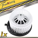 ✅Pol-Anzahl: 2-Polig; Spannung: 12V