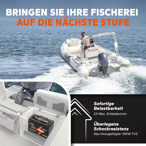 Image of LiTime 12V 100Ah LiFePO4 Lithium Battery - Ideal for Trolling Motors, Motorhomes, Solar Systems and Boats | With Low Temperature Protection and 4000-15000 Cycles