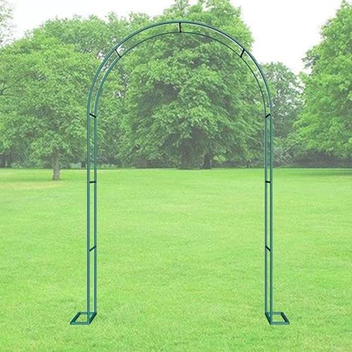 Arche de mariage extérieure et tonnelle pour vigne grimpante