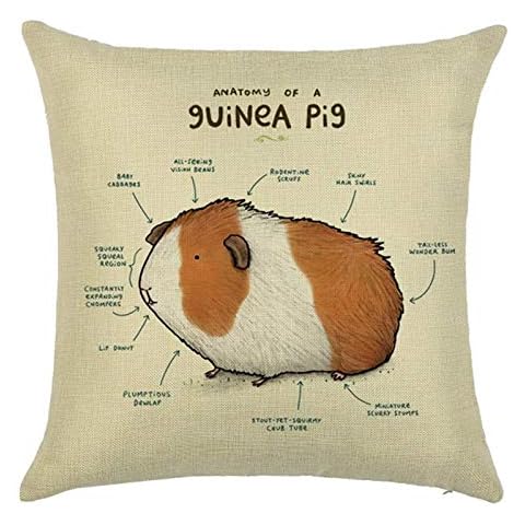 EHOMERY Pillow Cover Nature Stretch Couch Cushion Covers For Sectional Sofa Guinea Pig Velvet Throw Pillow Covers Home Patio Brown White Beige 18X18 Inches Cover
