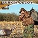Poen 2 Pcs Collapsible Turkey Decoys for Hunting Lookout Standing Lifelike Lightweight Realistic Hunting Turkey Decoy Hen with Stake for Field, Forest, Wood, Ground, Outdoor, 13.4 x 5.5 x 6.7 Inches