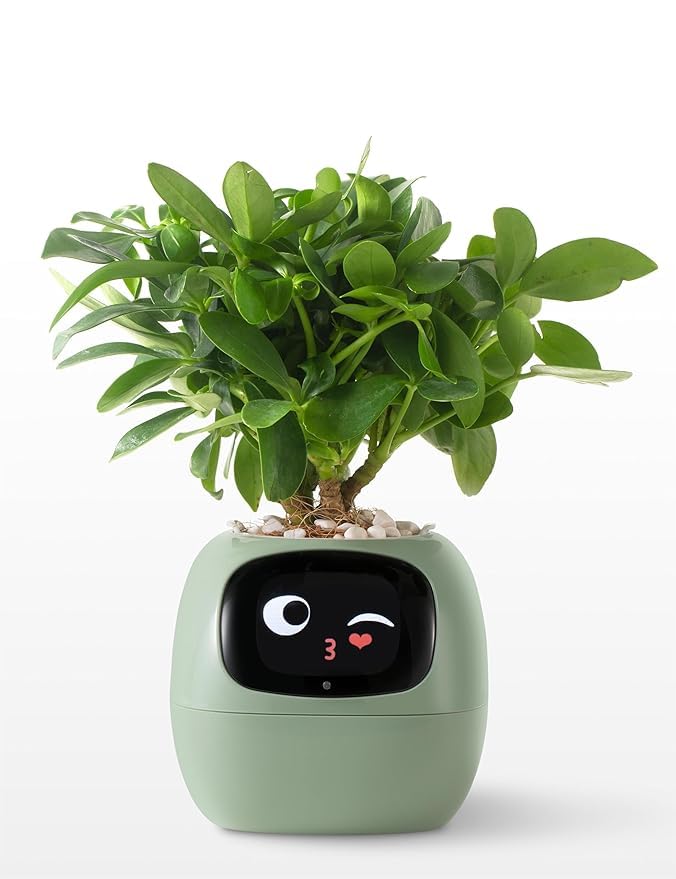 Bequest Plantagotchi AI Plant Pot with Expression - Smart Planter Robot Guidance On Plant Companion with Rich Gesture Interaction, Desk Setup Gift (Green)-image-19