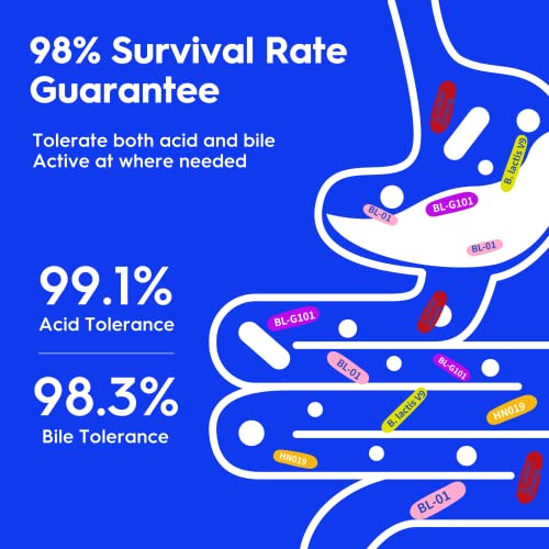 Wonder Particle Probiotics For Women With Prebiotics And Cranberry & Daily Probiotic With Prebiotic Supplement Combo #TOP7