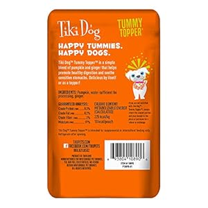 Tiki Canine Singleserve Tummy Topper Grainfree Pumpkin Purée with Ginger for Delicate Stomachs 15oz Pouches pack of 12  Cucciolini Doodles Tiki canine single serve tummy topper grain free pumpkin purée with ginger for delicate stomachs 1 5oz pouches pack of 12   cucciolini doodles