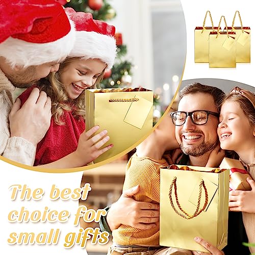 Seajan 50 Pack Metallic Gold Gift Bags