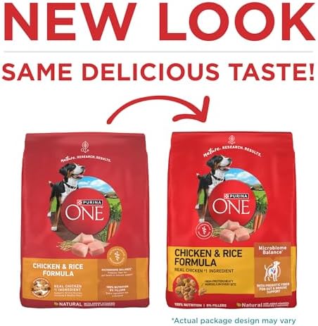 Purina ONE Chicken and Rice Formula Dry Dog Food - 31.1 lb. Bag