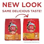 Purina ONE Chicken and Rice Formula Dry Dog Food - 16.5 lb. Bag - Image 2