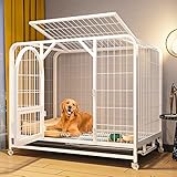 Photo Gallery rnqz gabbia per cani piccola e grande, box per cani, gabbia per cani extra large in acciaio inossidabile, porta con serratura e ruote, vassoio rimovibile per animali di grossa taglia,bianca,61x45x55cm Photo Gallery rnqz gabbia per cani piccola e grande, box per cani, gabbia per cani extra large in acciaio inossidabile, porta con serratura e ruote, vassoio rimovibile per animali di grossa taglia,bianca,61x45x55cm