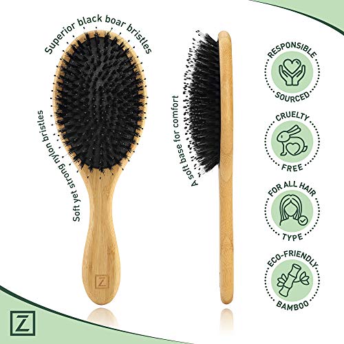 Zollo 701.ZOL.100 Natural Boar Bristle Hair Brush For Women, Men, Kids; Dry And Wet Detangling Hair Brush Gently Enhances Shine, Smooths Frizz And Prevents Breakage In Fine And Straight thumb #3