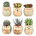 Owl Planter Pots for Succulents,Ceramic Cactus Flower Pots Pack of 6 Home Office Decor (Owl Pot Without Bamboo Tray)