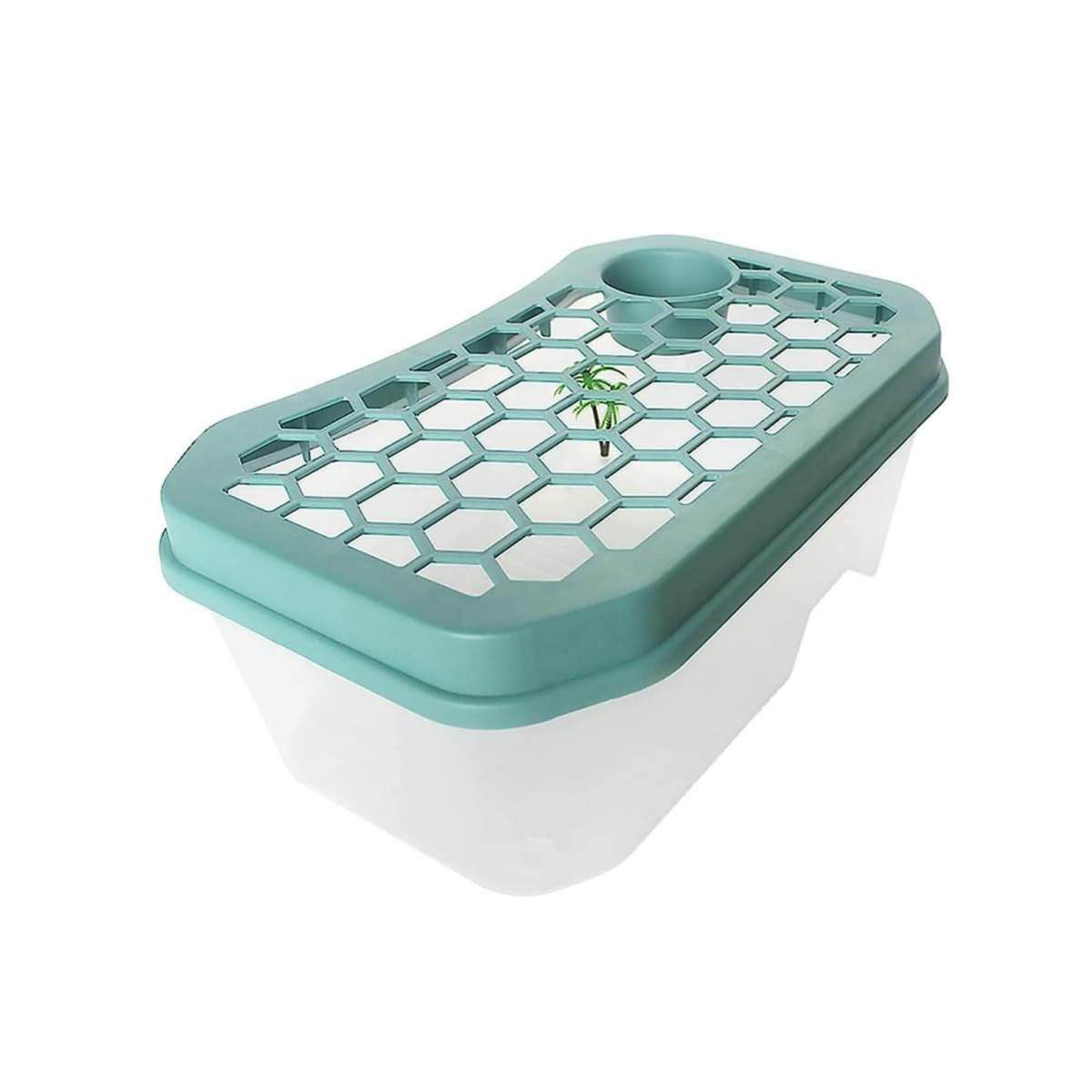 Amazon | TOUCH&CUTE カメ用水槽 大きい 60*35*25CM カメ 水槽