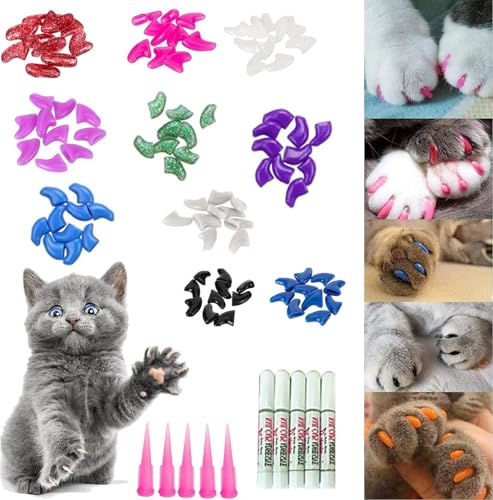 100 ̔L̃lCLbv/qgybgLLeB\tg܃Jo[ 10 ̒܃Lbv 5 ̐ڒ܂̐䑫 5 AvP[^[ \tgybgLbglC Lbv LO[~OlC܃Lbv (XS)