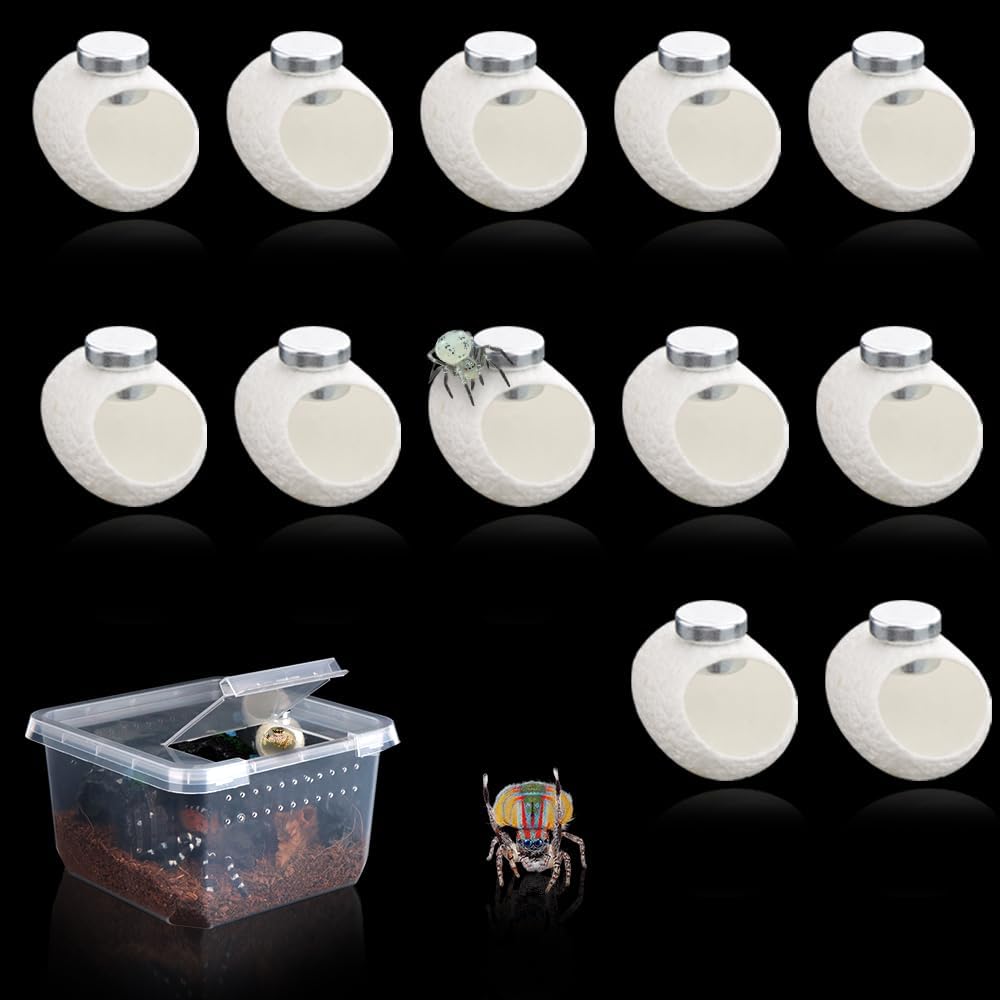 DQITJ 12 Pcs Silk Cocoons with Magnets for Jumping Spider Silk Cocoon Spider Hide Jumping Spider Habitat Accessories (White)
