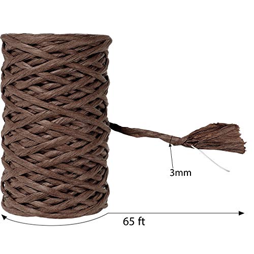 image for Syhood 65 Feet Floral Wire Rustic Vine Bind Wire for Craft Wrapping Fl