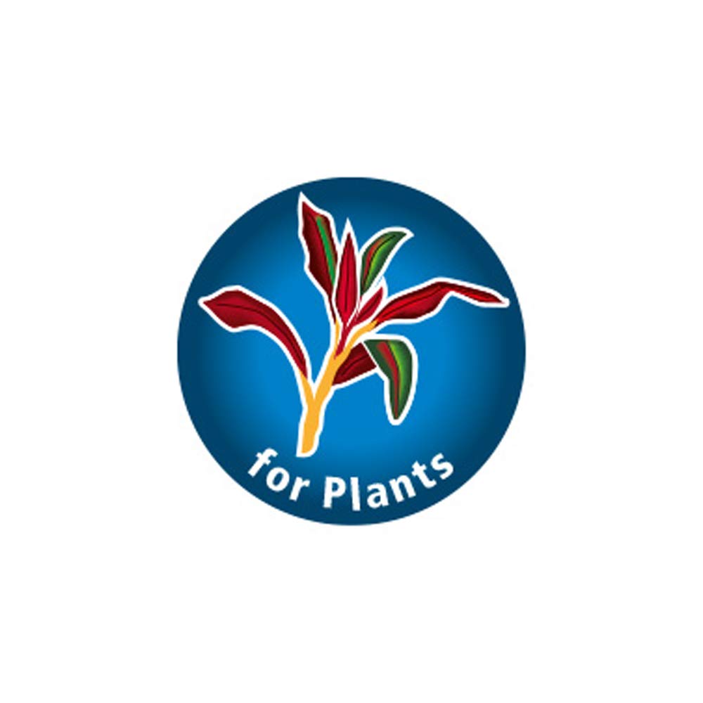 DUPLA Plant Basic I 200 Tabletten I Ideale Nährstoffkombination für Aquarienpflanzen I Inhalt reicht für 4.000 Liter