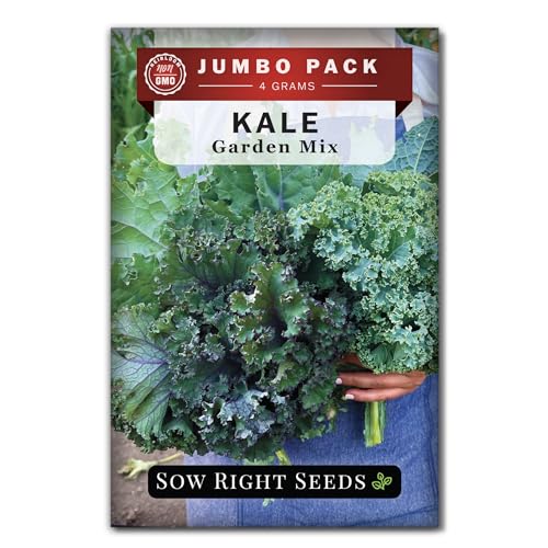 Sow Right Seeds - Bulk Mixed Kale Seeds for Planting - 4 Grams, 1200 Seeds - Non-GMO Heirloom Jumbo Packet to Plant Home Vegetable Garden - Grow Loads of Healthy Kale - Variety of Colors and Textures