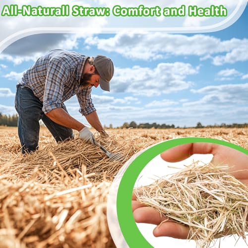 MAQIHAN Natural Straw for Small Animals Bedding- 5.92oz Dry Straw,Garden Straw,Animal Hay Bedding Nest Chaw Toy Bed,Sleeping,Chewing,Nesting and Toys for Rabbits,Bed Mat - Image 4