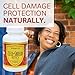 Youngevity Cell Shield RTQ™ - Turmeric Curcumin (95% Circuminoids), Quercetin, Japanese Knotweed - Highly Bioavailable Antioxidant Blend - 60 Capsules