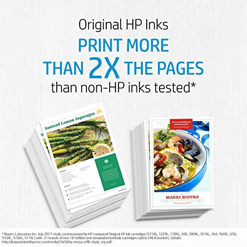 HP - F6U66AE HP 302 - Cartouche d'encre originale pour HP Envy 4520 - Environ 190 pages (5 % de couverture) - Noir -