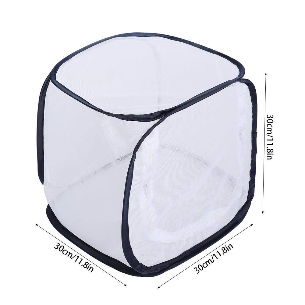Outdoor Pieghevole Cage Habitat - Fine Mesh Stops - 5 Pannelli reticolari per Flusso d'Aria - con Grande Apertura a Cerniera - Pannello Trasparente per Una Facile