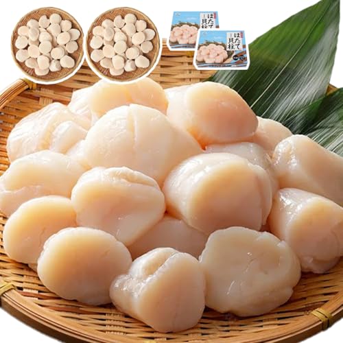 VIVID LIFE z^e ق L 1kg×2 Hp kC {錧Y hgp z^e  ϔ o H Ⓚق CN