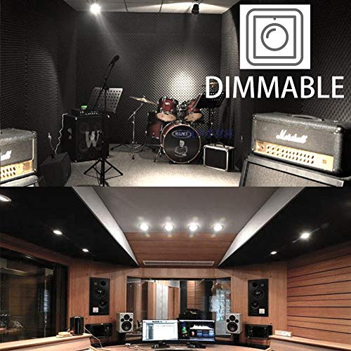 Baoming Par56 Wfl Led Bulb Neutral White (4000~4500K) Replace Standard Par56 300 Watt Halogen Light 28W 120°Deg Ac/120V Base Type: Gx16D #TOP2