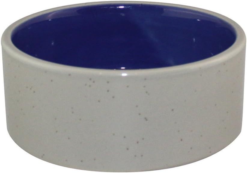 Ethical Pet Dog Dish Size: 2.75" H x 5.25" W x 5.25" D