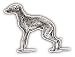 postwalldecor Italian Greyhound Dog Sketch Hochwertigen Auto-Autoaufkleber 12 x 10 cm