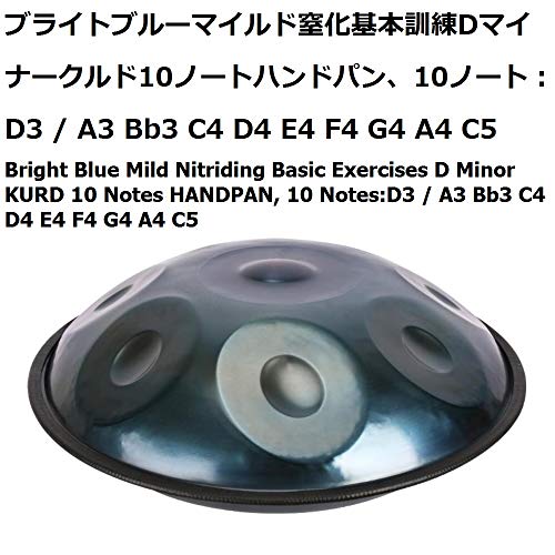 S҂̊bg[jOƃṽptH[}XxHANDPAN Beginner Basic Training And Professional Performance Level HANDPAN D Minor F Major And Other S