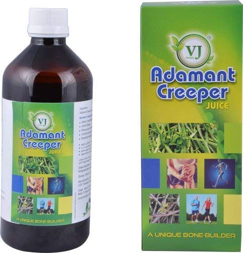 GJ herbal Adamant Creeper Juice (Pirandai Charu)