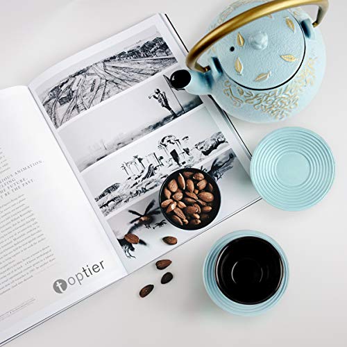 Tea Kettle, TOPTIER Japanese Cast Iron Tea Kettle with Infuser for Loose Leaf and Tea Bags, Stovetop Safe Cast Iron Teapot Coated with Enameled Interior for 40 oz (1200 ml), Turquoise Blue
