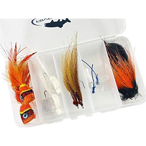 Warm Water Fly Fishing Flies Assortment Kit with Fly Box, Clouser Minnow, Bass Popper, Damsel Fly, Mr Creepo - 10 Piece Cover