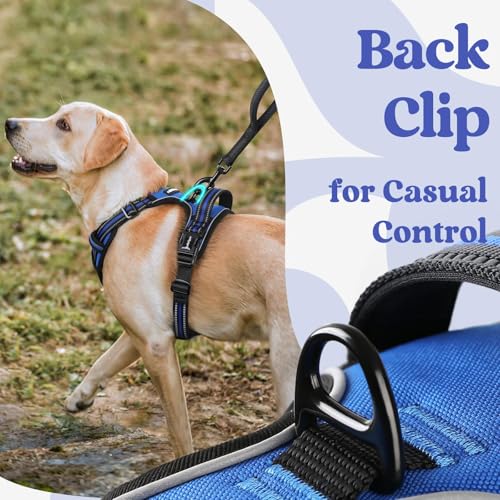 rabbitgoo Dog Harness for Large, Updated Easy On & Off with 3 Buckles | No Pull No Choke, Walking with 2 Clips and Handle, Adjustable Soft Reflective, Blue, Large - Image 6