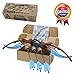 Zing Avatar Neytiri's Ceremonial Bow Pack - 1 Bow and 3 Zonic Whistle Arrows, Officially Licensed Role-Play Set, Shoots Safe Arrows Over 160ft, Long Range Outdoor Play, Age 14 and Up