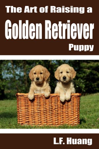The Art of Raising a Golden Retriever Puppy