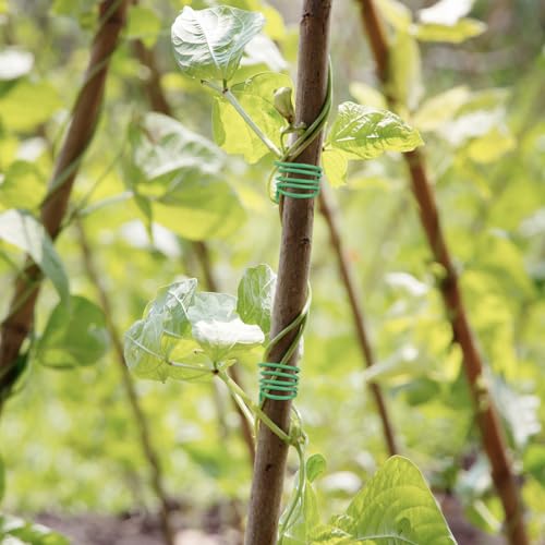 Gartendraht,weiche Pflanzendrehbinder-Drähte,Grün Pflanzendraht Weich Gartendraht Dicke Bindedraht Gummiert für die Gartenarbeit Kletterpflanzen, Weinreben, Sträucher und Blumen(Grün,3.5mm*25m)