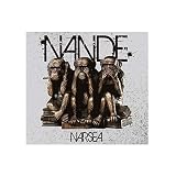 NANDE NARSEA