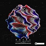  Just Words (Alex Niggemann Remix)
